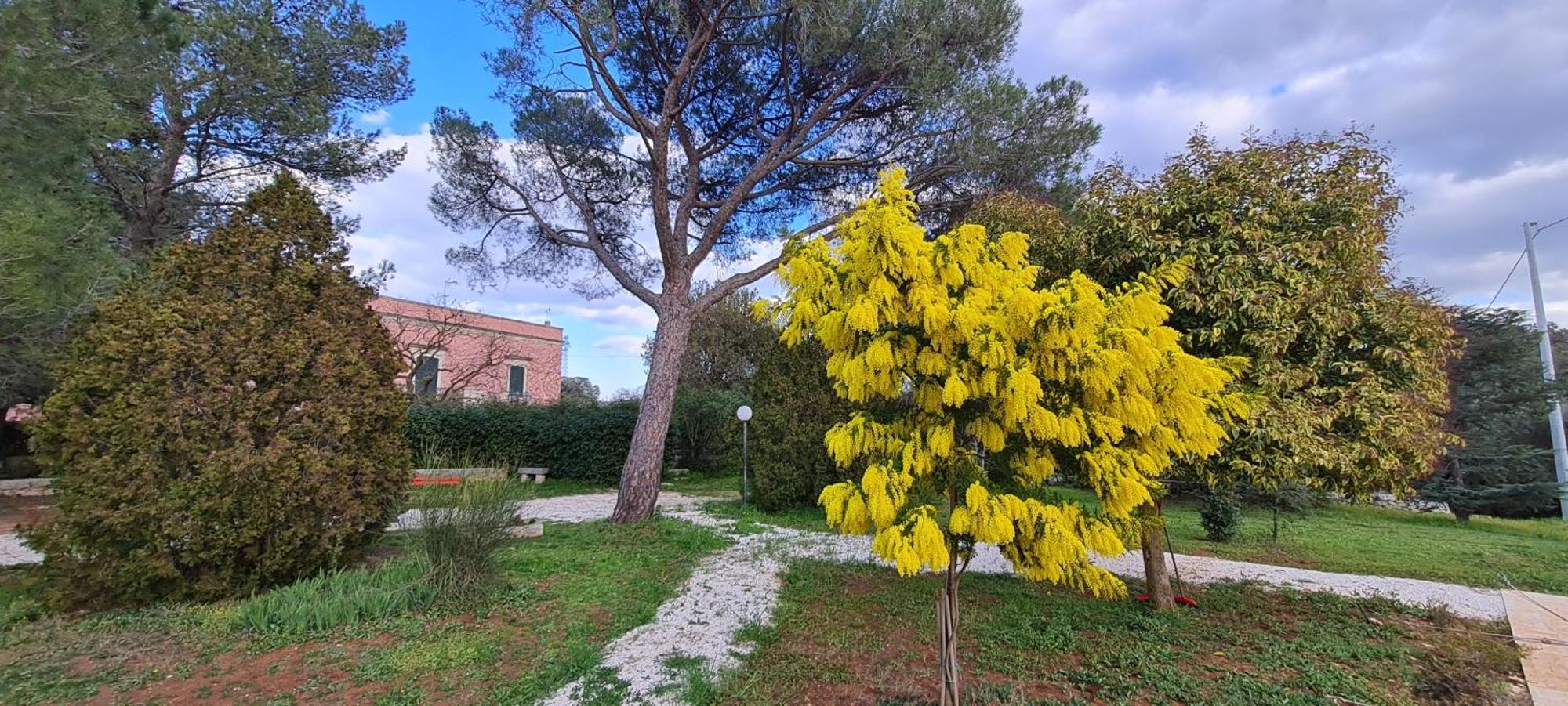 Villa Morea-Relax In Piscina Putignano Exterior photo